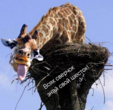 a9_1.png